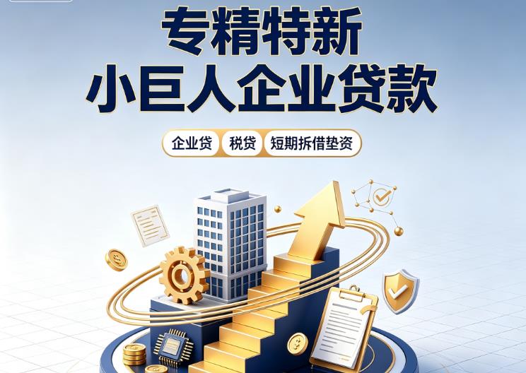 东莞万江企业发票贷|东莞万江法人企业贷款|东莞万江大额企业经营贷款